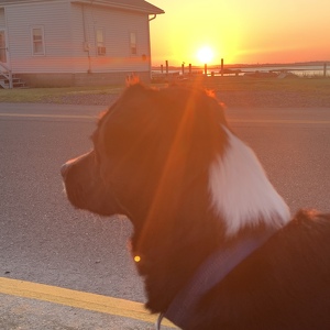 Fundraising Page: Amy Jackson